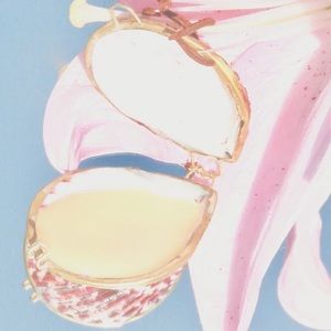 Lily Solid Perfume